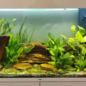 Aquarium Bureau