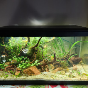 Aquarium 55L