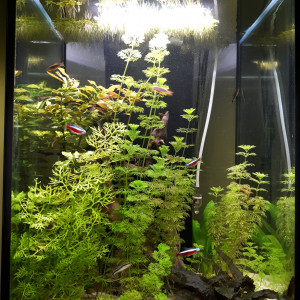 96 litres
