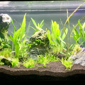 80 L Maison