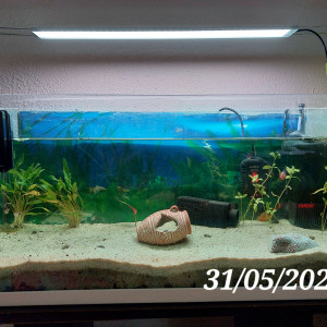 Premier 80x30x50