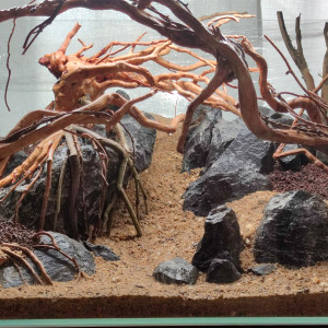 Hardscape