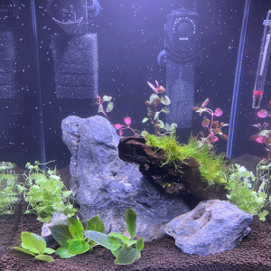 Mon Nano 30