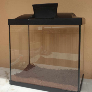 Petit aquarium 24 l en bon etat
