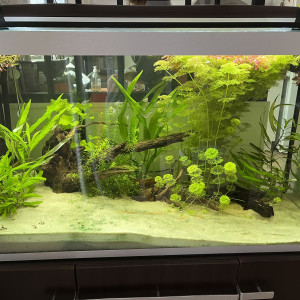 Fluval Osaka 260