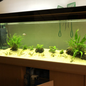 240L