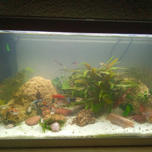 60l don recup