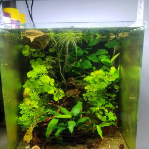 Dennerle 30 litres