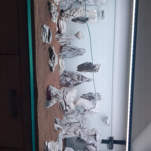 Aquarium 375L optiwhite