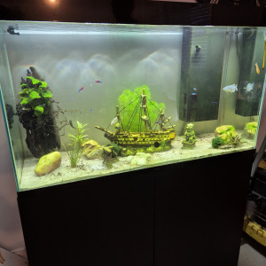 don meuble aquarium