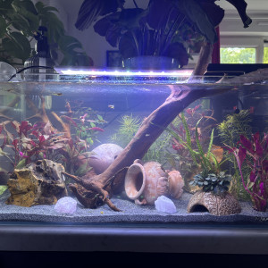 Tank AQUAEL 60 Opale
