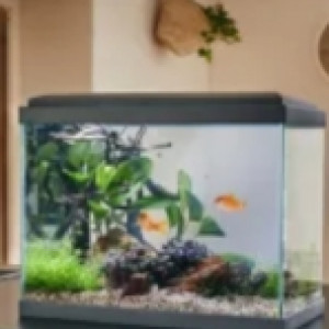 Vivaquaria