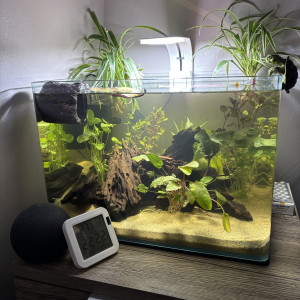 Scaper s tank Dennerle 35 Haribo