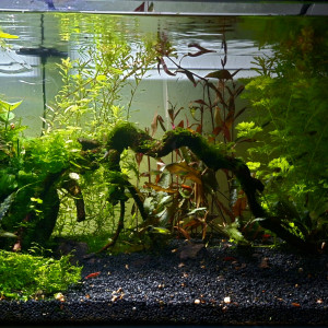Propriété de l abonné 160l