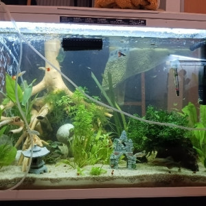 Aquarium 150l