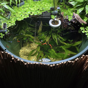 Bassin 240L