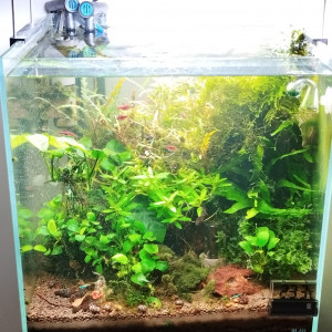 Aquarium Blau 64 litres