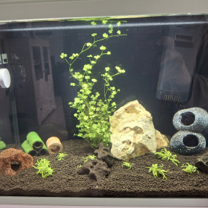 Publication de StephL