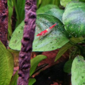 Publication de fmaill14