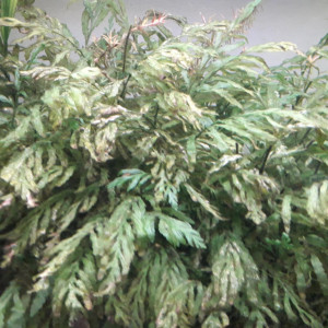 Publication de flow48