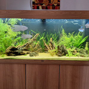 Publication de MarieJouc