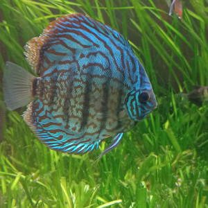 Publication de Bruno6944000