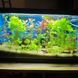 Publication de Kilowat01