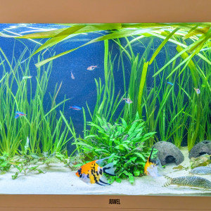 Publication de olivier74210