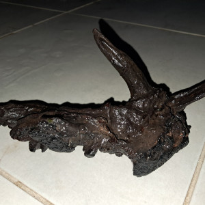 Décoration naturelle aquarium