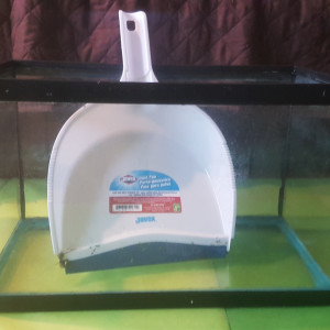 Publication de LiquidPaper2008