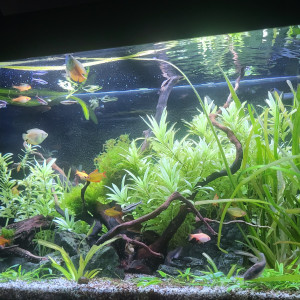 Publication de Sokaris