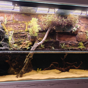 Publication de Gravitys