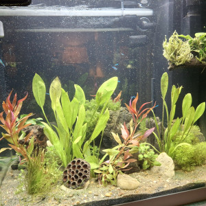 Publication de StephL