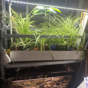 Publication de cambierguillaume