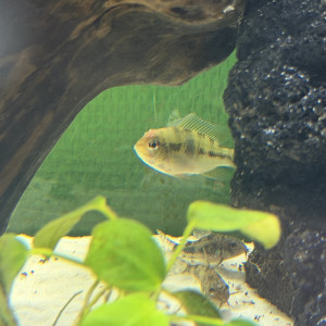 Publication de Loic.lec