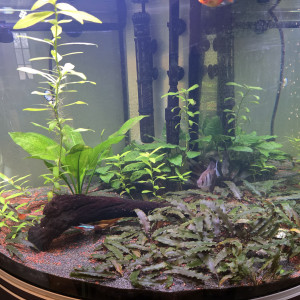 Publication de AlexandreV