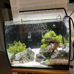 Publication de Yves672