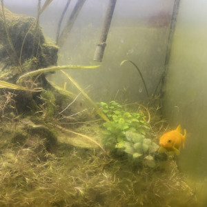 Publication de Emma1234