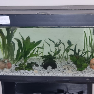 Publication de MelodieRose58