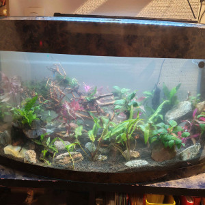 Publication de Silver11