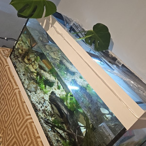 Publication de Canage10