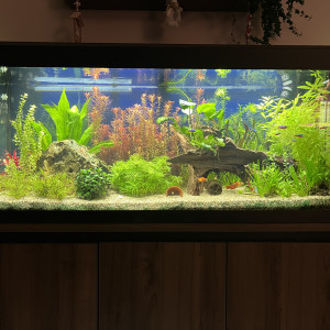 Aquarium 200 litres
