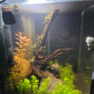 Publication de jbaptistide