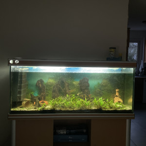 Donne aquarium de 400 l