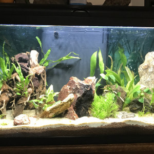 Publication de CriCri07