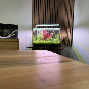 Publication de Olivoliv