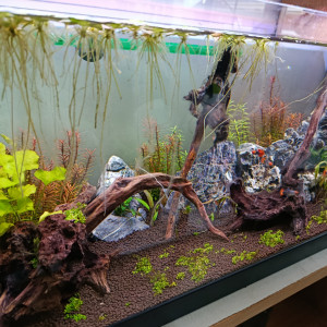 Publication de BertrandD