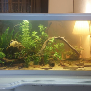 Amazonien Black Water 80L