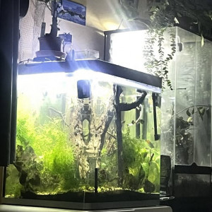 Publication de Ericvilley52