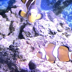 Publication de Ericvilley52